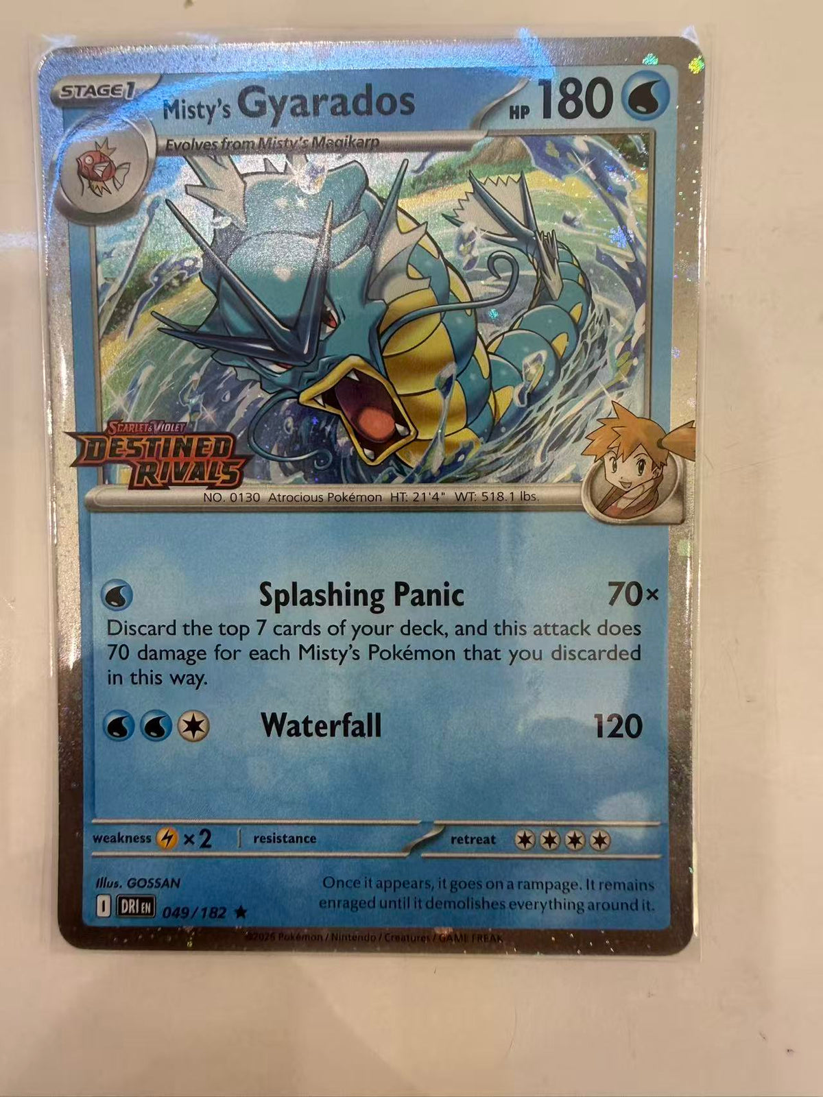 Misty's Gyarados